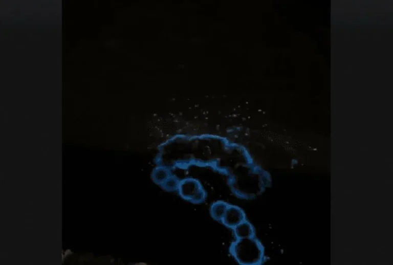 c5bf207d-b511-42ab-b6aa-17884ea66158