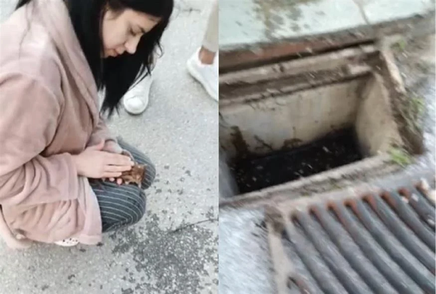 Θεσσαλονίκη: Νοσηλεύτρια «επανέφερε» γατάκι με μαλάξεις ( VIDEO )