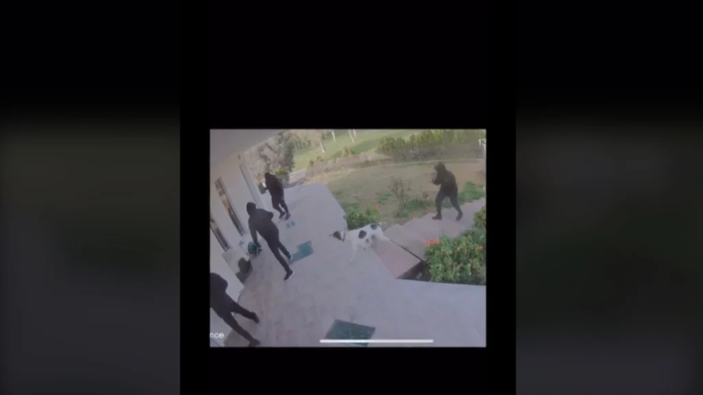 Viral ο πιο φιλικός «φύλακας»: Σκύλος υποδέχεται ληστές σαν να είναι καλεσμένοι! ( VIDEO )