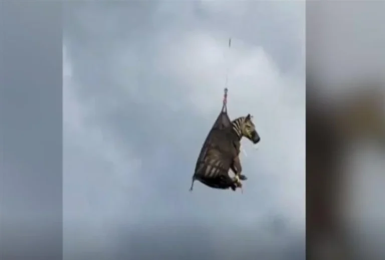 211cb8a4-f98b-43a4-a04c-f392b7779a6d