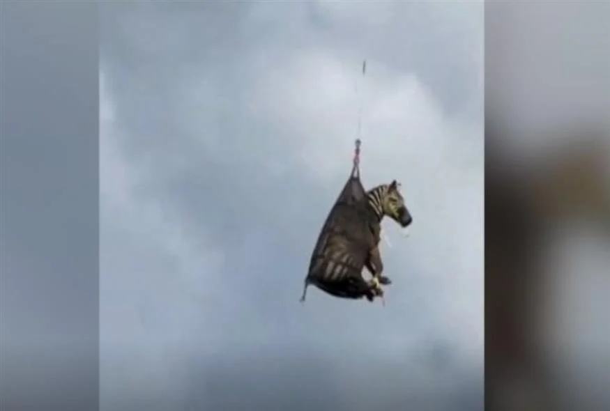 211cb8a4-f98b-43a4-a04c-f392b7779a6d