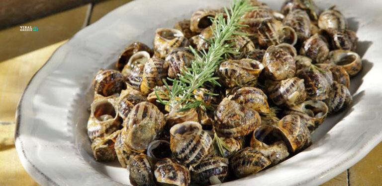 b_xoxloi_mpoumpouristoi