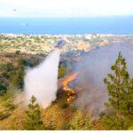 Χίος: Πύρινος εφιάλτης με δεκάδες εκκενώσεις – Σε επιφυλακή οι Αρχές Χίος: Πύρινος εφιάλτης με δεκάδες εκκενώσεις – Σε επιφυλακή οι Αρχές