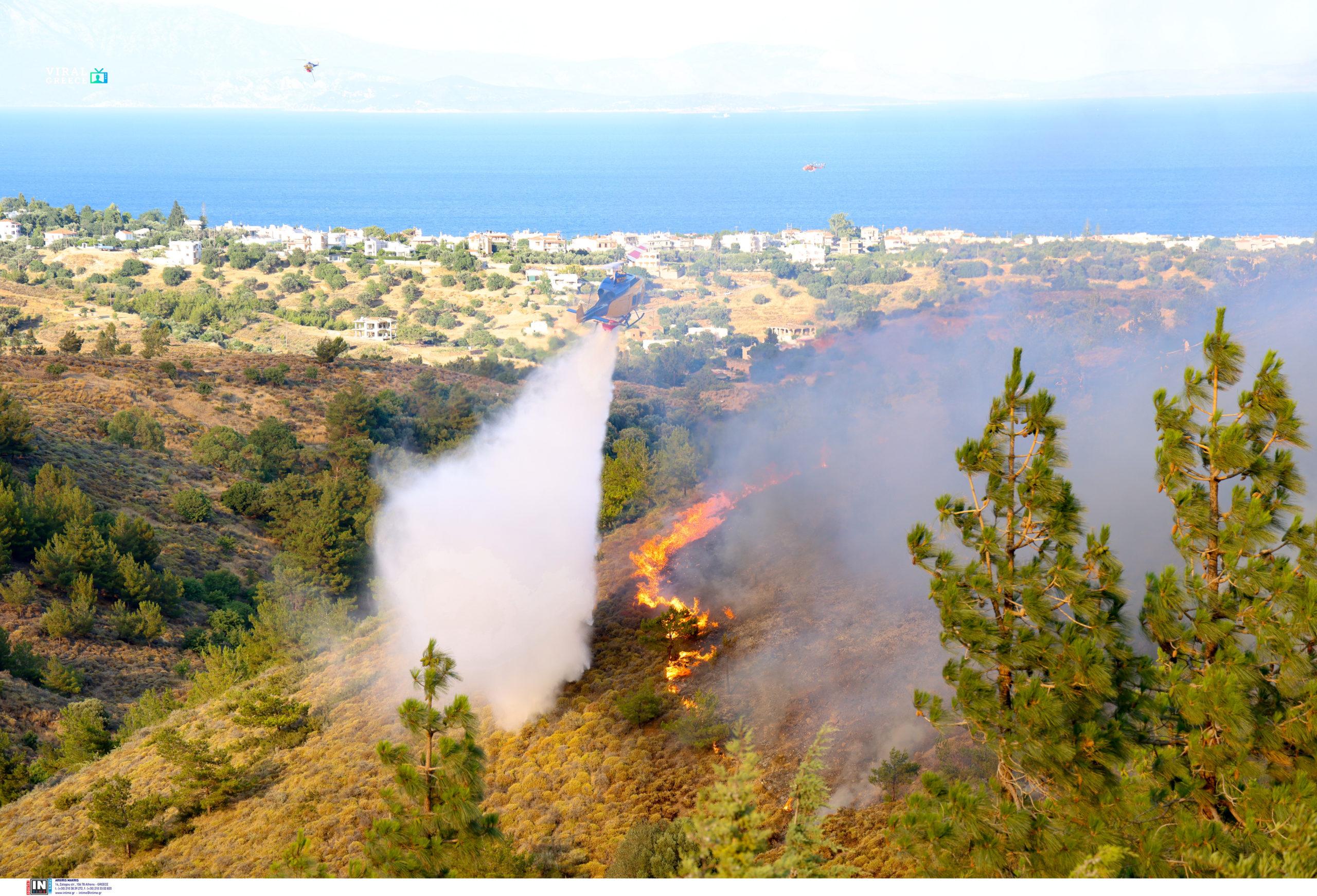 Χίος: Πύρινος εφιάλτης με δεκάδες εκκενώσεις – Σε επιφυλακή οι Αρχές fotia pirosvestis 4 scaled 1