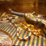 Ο «καταραμένος» μύκητας των Φαραώ ίσως γίνει όπλο ενάντια στη λευχαιμία – Τι ανακάλυψαν επιστήμονες στις ΗΠΑ