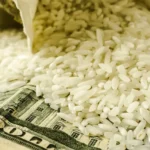 Πόσα δισεκατομμύρια έχουν; Το ρύζι δείχνει την αληθινή εικόνα για Μασκ, Ζούκερμπεργκ και Σουίφτ ( VIDEO )