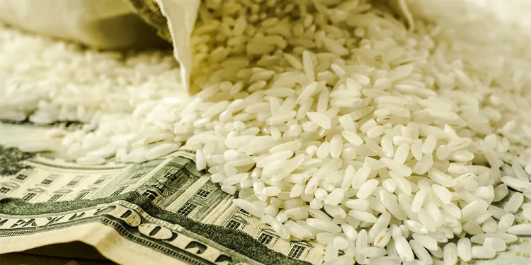 Πόσα δισεκατομμύρια έχουν; Το ρύζι δείχνει την αληθινή εικόνα για Μασκ, Ζούκερμπεργκ και Σουίφτ ( VIDEO )