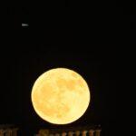 Το Φεγγάρι του Κόκκινου Ελαφιού: Η μαγευτική πανσέληνος του Ιουλίου πλησιάζει Το Φεγγάρι του Κόκκινου Ελαφιού: Η μαγευτική πανσέληνος του Ιουλίου πλησιάζει