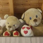 Όλο και περισσότεροι ενήλικες κοιμούνται με λούτρινα