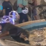 Νεαρός έσπρωξε άστεγο σε σιντριβάνι στη Ρόδο ( VIDEO ) Νεαρός έσπρωξε άστεγο σε σιντριβάνι στη Ρόδο  ( VIDEO )