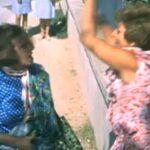 Η Finos Film γιορτάζει την Ημέρα Συμφιλίωσης με ένα νοσταλγικό βίντεο ( VIDEO )