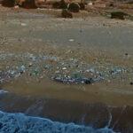 Αυτή είναι η πιο βρώμικη παραλία στην Ελλάδα σύμφωνα με τη WWF Αυτή είναι η πιο βρώμικη παραλία στην Ελλάδα σύμφωνα με τη WWF