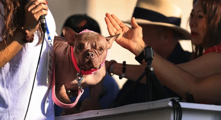 73b96a64-8315-4d00-b9f3-19d05116ad39