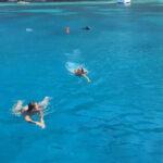 Αγριογούρουνο… κάνει μπάνιο σε ελληνική παραλία – Απρόσμενη συνάντηση για δύο λουόμενες