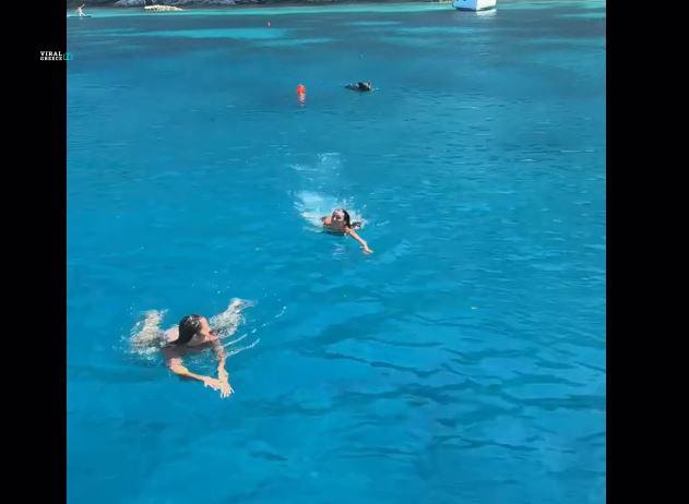 Αγριογούρουνο... κάνει μπάνιο σε ελληνική παραλία – Απρόσμενη συνάντηση για δύο λουόμενες AA1JDJrT.img