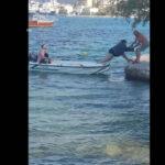 Γυναίκα στην Εύβοια έγινε viral προσπαθώντας να αποβιβαστεί από βάρκα ( VIDEO ) Γυναίκα στην Εύβοια έγινε viral προσπαθώντας να αποβιβαστεί από βάρκα ( VIDEO )
