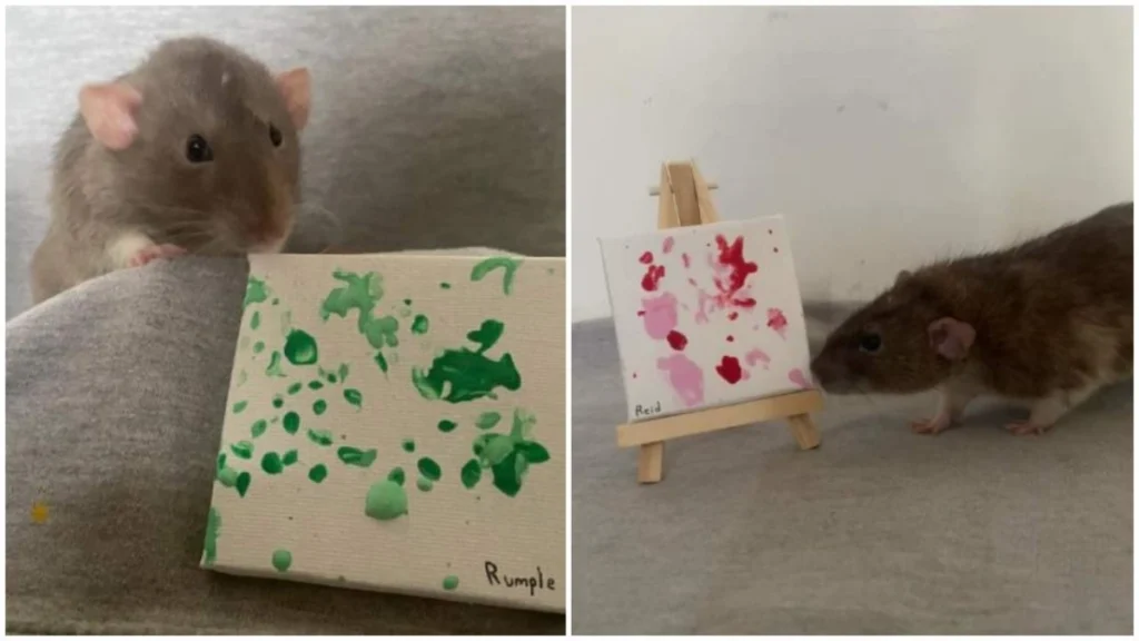 Οι… καλλιτέχνες-αρουραίοι που χαρίζουν χαρτζιλίκι σε 18χρονη Αγγλίδα