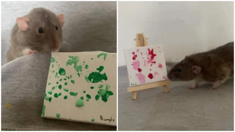 arouraioi-pinakes-zografikhs-vinted