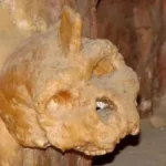 Το αινιγματικό κρανίο 286.000 ετών από την Ελλάδα που δεν ταιριάζει σε κανένα γνωστό ανθρώπινο είδος Το αινιγματικό κρανίο 286.000 ετών από την Ελλάδα που δεν ταιριάζει σε κανένα γνωστό ανθρώπινο είδος