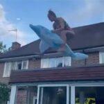 Μοντέλο στη Βρετανία τραυματίστηκε σοβαρά μετά από τρελή βουτιά ( VIDEO )