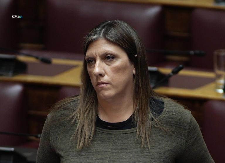 Ζωή Κωνσταντοπούλου: Το πόθεν έσχες της προέδρου της Πλεύσης Ελευθερίας