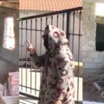 Σοκ στη Βοιωτία: Η 62χρονη ήθελε να φύγει στη Γερμανία – Κατηγορείται ότι «τσέπωνε» πάνω από 3.000 ευρώ τον μήνα από τη μητέρα της που είχε θάψει στην αυλή