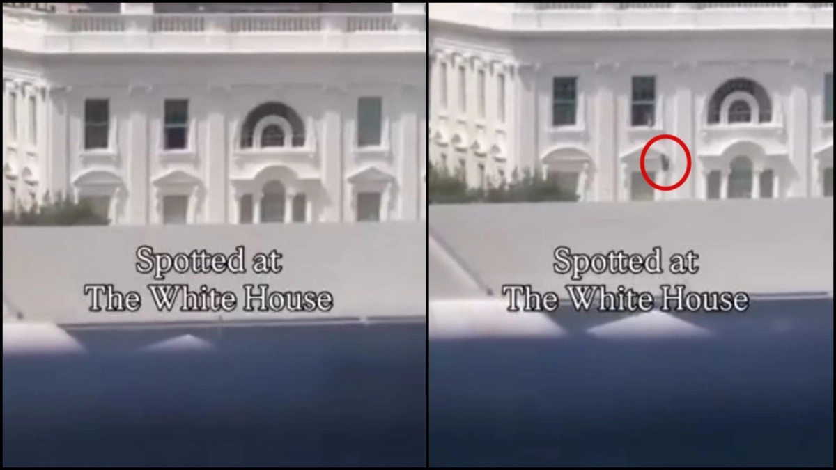 white-house