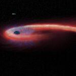 Επιστήμονες κατάφεραν να κάνουν ορατή την ταχύτητα του φωτός – Η θεωρία του Αϊνστάιν επιβεβαιώνεται Επιστήμονες κατάφεραν να κάνουν ορατή την ταχύτητα του φωτός – Η θεωρία του Αϊνστάιν επιβεβαιώνεται