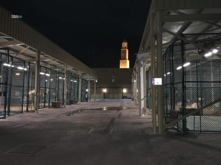 Στο Ντουμπάι λειτουργεί εδώ και 8 χρόνια νοσοκομείο για καμήλες – και ξεπερνά σε εντυπωσιασμό πολλά ανθρώπινα νοσοκομεία AA1O2TLD