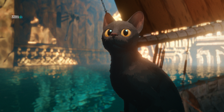 Η ταινία Flow προκάλεσε έκρηξη στις υιοθεσίες μαύρων γατών Flow_51-768x384