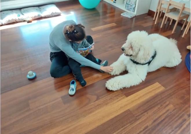 Σκύλος θεραπευτής στο ΕΣΥ στο πλευρό των ασθενών