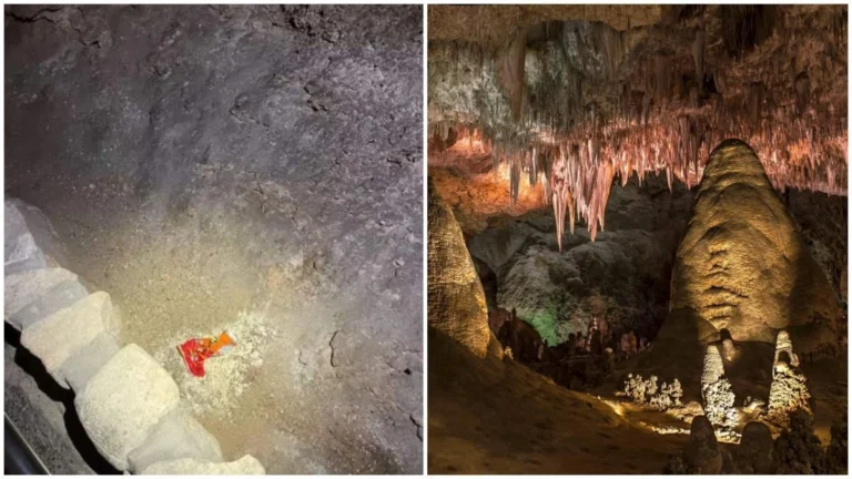 cheetos-national-park