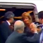 Σαν σήμερα 22 Οκτωβρίου το 1988: Το “νεύμα” του Ανδρέα Παπανδρέου προς τη Δήμητρα Λιάνη που άλλαξε την πολιτική και προσωπική ιστορία της Ελλάδας Σαν σήμερα 22 Οκτωβρίου το 1988: Το “νεύμα” του Ανδρέα Παπανδρέου προς τη Δήμητρα Λιάνη που άλλαξε την πολιτική και προσωπική ιστορία της Ελλάδας