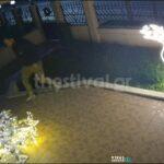 Θεσσαλονίκη: Ο «κλέφτης των Χριστουγέννων» αρπάζει στολίδια από αυλές  ( VIDEO )