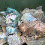 Σοκ στη Μεγαλόπολη: Σκύλος βρέθηκε ζωντανός πεταμένος σε κάδο μέσα σε τσουβάλι Σοκ στη Μεγαλόπολη: Σκύλος βρέθηκε ζωντανός πεταμένος σε κάδο μέσα σε τσουβάλι