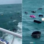 Οι αποσκευές… στη θάλασσα: Χάος σε φέρυ της Ταϊλάνδης όταν δεκάδες βαλίτσες έπεσαν στο νερό Οι αποσκευές… στη θάλασσα: Χάος σε φέρυ της Ταϊλάνδης όταν δεκάδες βαλίτσες έπεσαν στο νερό