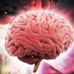 Ήξερες ότι… μια απλή αλλαγή στην καθημερινότητά μας μπορεί να επηρεάσει το μυαλό όσο και η γυμναστική το σώμα; Ήξερες ότι… μια απλή αλλαγή στην καθημερινότητά μας μπορεί να επηρεάσει το μυαλό όσο και η γυμναστική το σώμα;