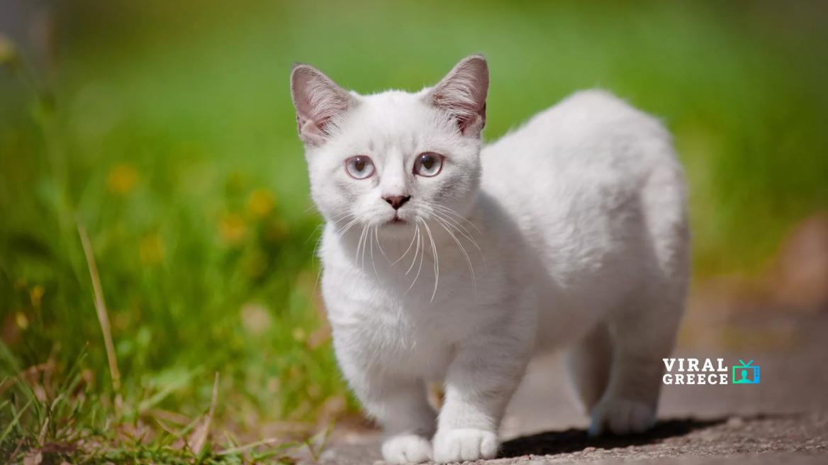 shutterstock 150890825 2048x1360 1