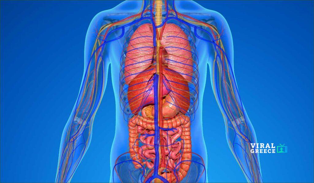 Ήξερες ότι… το σώμα σου κάνει “restart” κάθε 7 χρόνια; 🤯