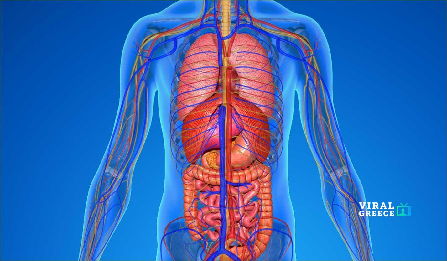 Ήξερες ότι… το σώμα σου κάνει “restart” κάθε 7 χρόνια; 🤯 soma-1