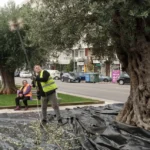 thessaloniki elies sygkomidi7.jpg