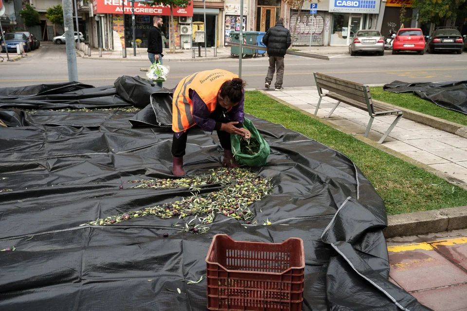 thessaloniki elies sygkomidi71.jpg