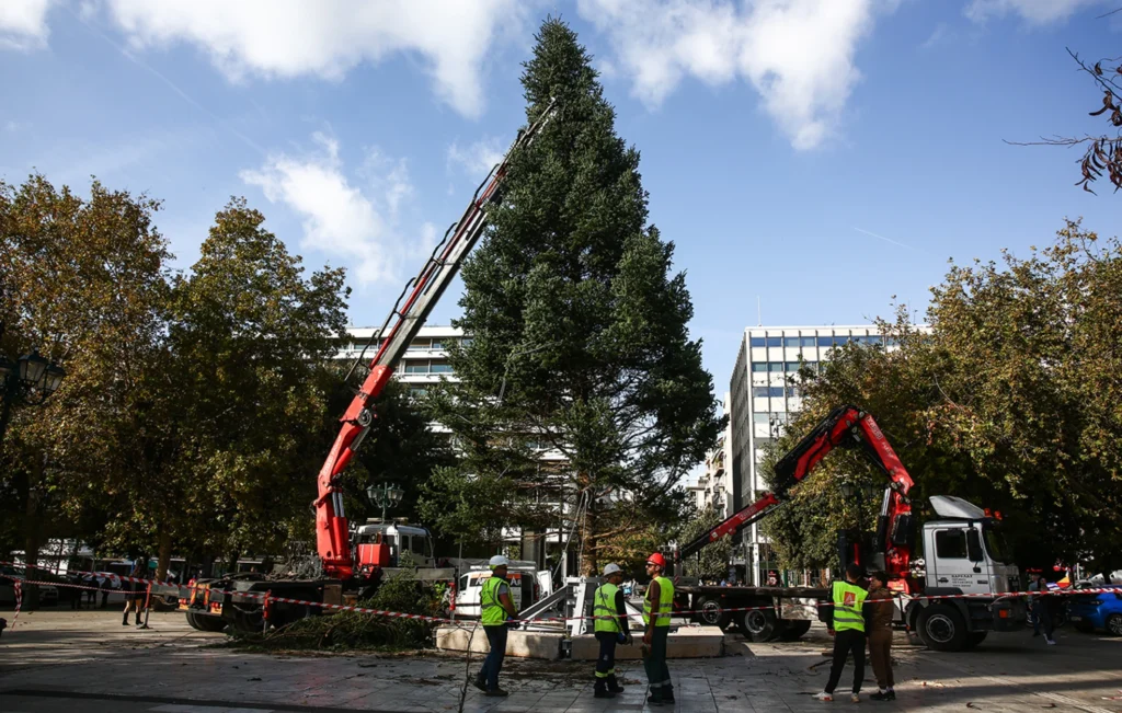 Τα χριστουγεννιάτικα δέντρα της Αθήνας και της Θεσσαλονίκης έφτασαν – Ύψος 19 και 18 μέτρα αντίστοιχα