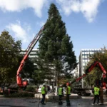 xristougenniatiko dentro athina2.jpg