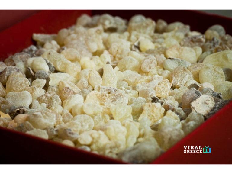 1383302313_087_ACH_5390-800x600w