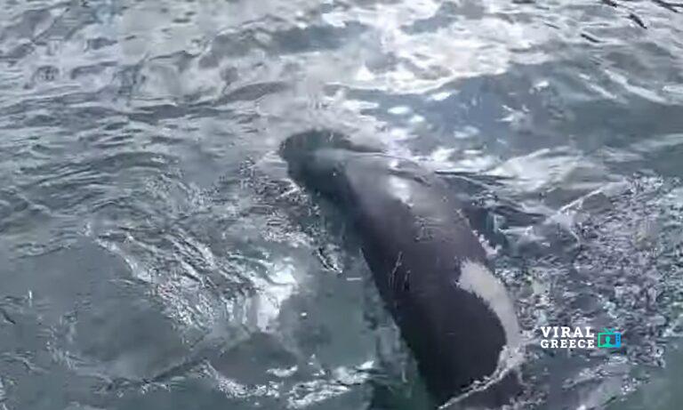 4b5447c7-stigmiotypo-o8onhs-2025-12-30-191008