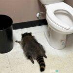 875 b3bf1582 0ecf 4c8c b7a3 32d2f243a662