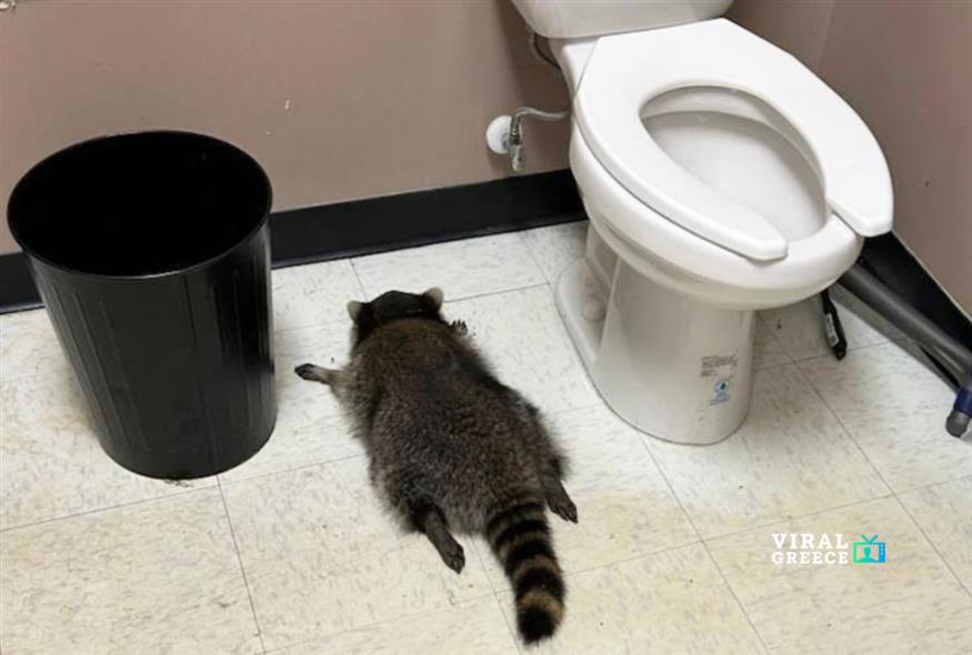 875 b3bf1582 0ecf 4c8c b7a3 32d2f243a662