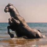 «Οδύσσεια»: Αποκαλύφθηκαν νέες εικόνες από το επικό φιλμ του Νόλαν