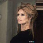 Μπριζίτ Μπαρντό: Η περιουσία που αφήνει πίσω της – Τι προβλέπεται για τον γιο της Μπριζίτ Μπαρντό: Η περιουσία που αφήνει πίσω της – Τι προβλέπεται για τον γιο της